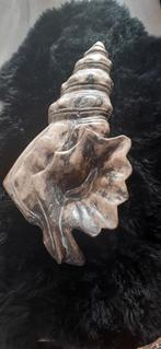 Houten Decoratieve Schelp, Ophalen of Verzenden