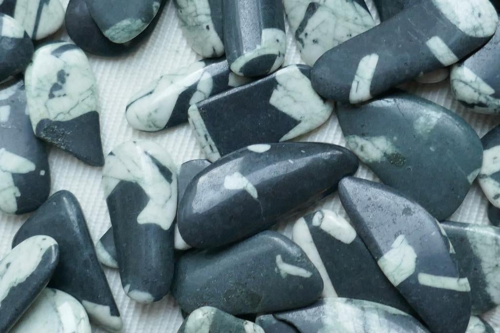 Zebra Calsiet Edel Stenen, Verzenden