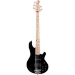 Lakland Skyline 55-02, Muziek en Instrumenten, Ophalen, Zo goed als nieuw, Elektrisch, 5-snarig
