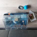 Hamsterkooi, Minder dan 75 cm, Zo goed als nieuw, Ophalen, Minder dan 60 cm