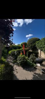 Verschillende struiken/planten/haag, Tuin en Terras, Ophalen, 100 tot 250 cm