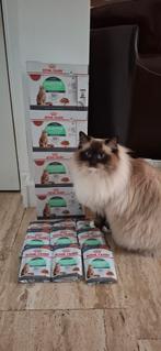 Royal Canin digestive natvoer, Ophalen of Verzenden, Kat