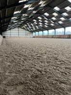 Pensionstallen op rustige locatie te huur, Dieren en Toebehoren, Weidegang, 4 paarden of pony's of meer