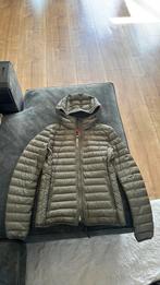Parajumpers jas vrouw groen, Kleding | Heren, Jassen | Winter, Nieuw, Parajumpers, Ophalen of Verzenden, Groen