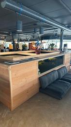 Visvijver met koi karpers, Ophalen of Verzenden, Zo goed als nieuw