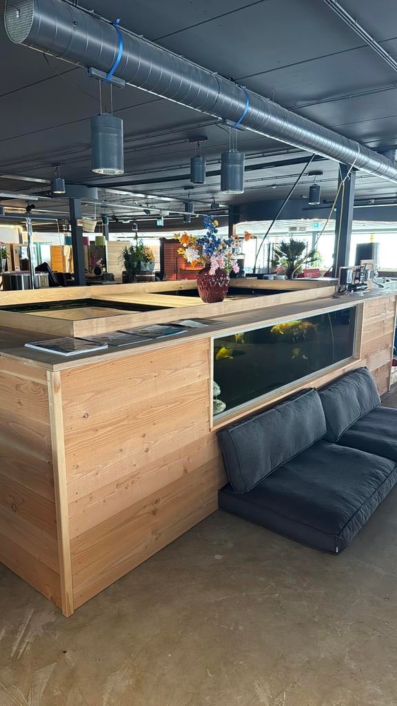 Visvijver met koi karpers, Tuin en Terras, Vijvers, Zo goed als nieuw, Ophalen of Verzenden