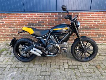 DUCATI SCRAMBLER FULL THROTTLE (bj 2015) beschikbaar voor biedingen