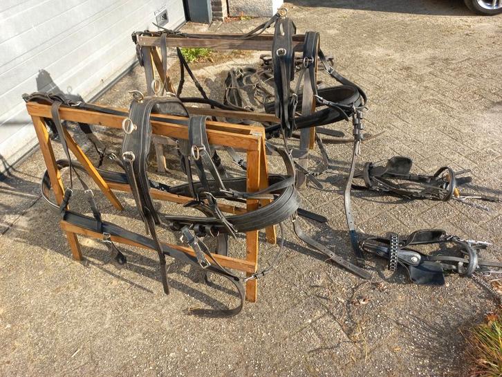 Een compleet dubbelspan cob tuig, Dieren en Toebehoren, Paarden en Pony's | Hoofdstellen en Tuigage, Zo goed als nieuw, Overige soorten