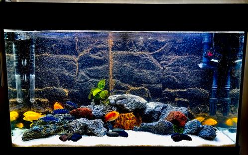 JUWEL Aquarium Rio incl. onderkast LED zwart125 L, 81x36x123, Dieren en Toebehoren, Vissen | Aquaria en Toebehoren, Gebruikt, Gevuld zoetwateraquarium