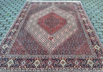 Perzische/Iraans handgeknoopt tapijt (Bidjar) 254 x 205 cm beschikbaar voor biedingen