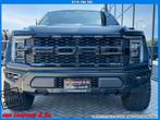 Ford USA F-150 3.5 V6 Ecoboost SuperCrew Raptor | Matzwarte, Automaat, F-150, Zwart, Bedrijf