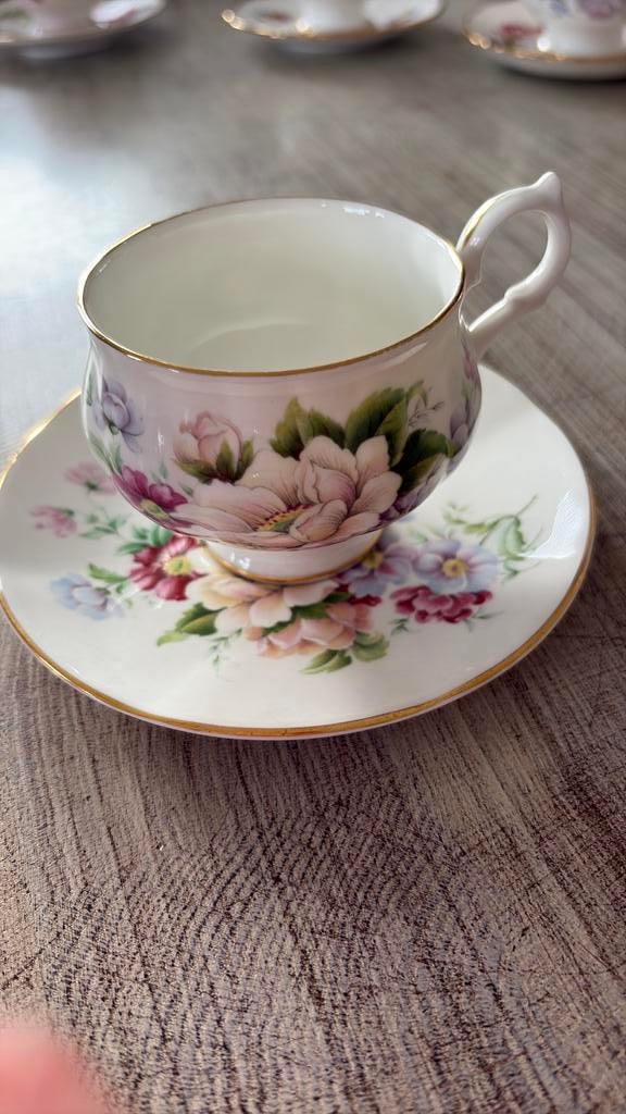 Vintage Springfield Theekop en Schotel, Ophalen