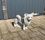 Chihuahua beeld, Ophalen of Verzenden, Zo goed als nieuw