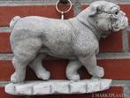 engelse bulldog/ wandhanger / beton, Ophalen of Verzenden, Huis en tuin decoratie Marie, Info@huisentuindecoratiemarie.nl, Peize