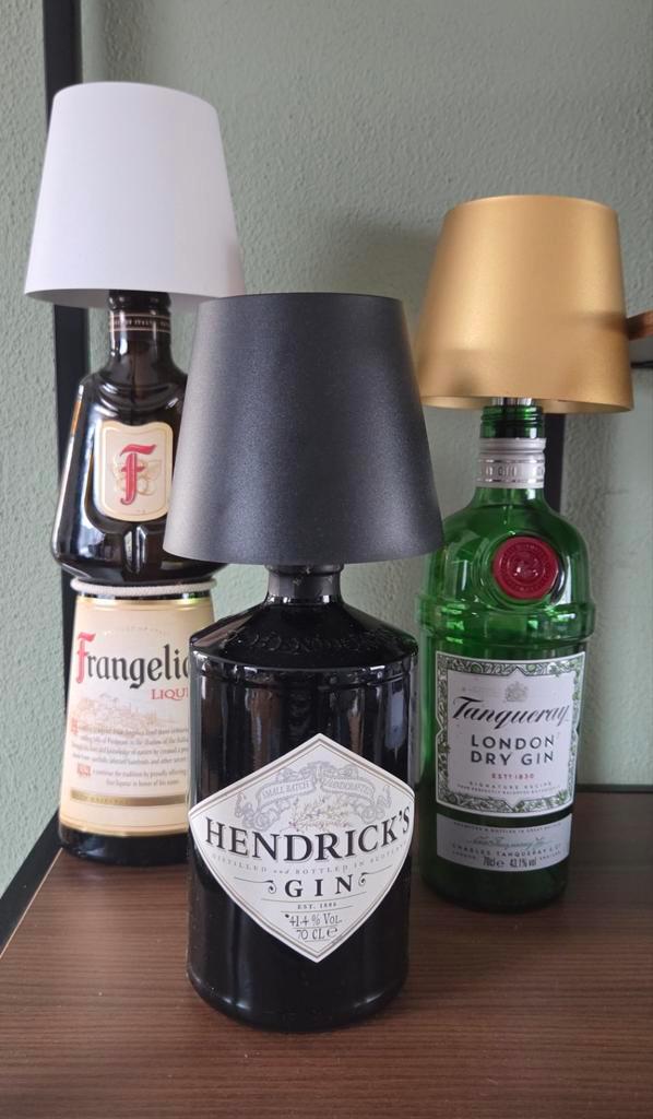 Unieke Lampen van Gerecyclede Drankflessen, Huis en Inrichting, Woonaccessoires | Overige, Ophalen of Verzenden
