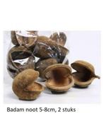 Blackwater aquarium inrichting botanisch, Dieren en Toebehoren, Vissen | Aquaria en Toebehoren, Ophalen of Verzenden, Nieuw, Plant(en), Steen of Hout