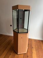Staand 6 hoekig aquarium 200 liter met kast, Dieren en Toebehoren, Vissen | Aquaria en Toebehoren, Ophalen, Gebruikt, Leeg aquarium