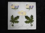 Art nouveau / Jugendstil tegel, Antiek en Kunst, Antiek | Wandborden en Tegels, Ophalen of Verzenden