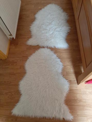 2 nette witte vachtjes prijs per stuk beschikbaar voor biedingen