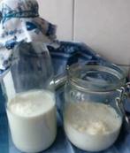 Biologisch kefir kefirkorrelkefirroosjes melkkefir te maken, Diversen, Ophalen