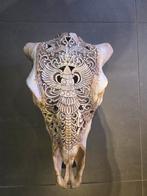 Buffel schedel koeien schedel, Ophalen, Gebruikt