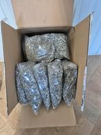 Opruiming grote doos Zonnebloempitten met totaal 12 zakken, Verzenden, Nieuw, Eten en Drinken