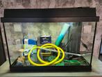 Aquarium 60 30 40cm inwendig filter. Inclusief toebehoren, Dieren en Toebehoren, Ophalen