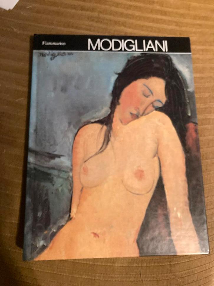 Modigliani Kunstboek, Boeken, Kunst en Cultuur | Fotografie en Design, Zo goed als nieuw, Fotografen, Ophalen of Verzenden