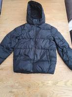 Tommy Hilfiger jas, Kinderen en Baby's, Kinderkleding | Maat 176, Ophalen of Verzenden, Zo goed als nieuw, Jas