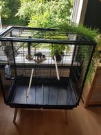 Voliere, Dieren en Toebehoren, Ophalen, Gebruikt, Metaal, Volière