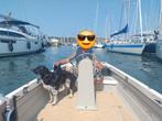 Orkney Longliner 16ft met Honda 10pk & Trailer, Watersport en Boten, Ophalen of Verzenden