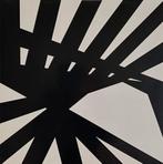 Peter Struycken – gesigneerde zeefdruk, Ophalen of Verzenden