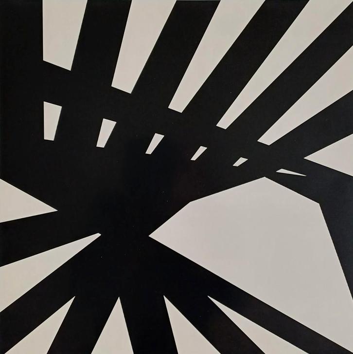 Peter Struycken – gesigneerde zeefdruk, Antiek en Kunst, Kunst | Litho's en Zeefdrukken, Ophalen of Verzenden