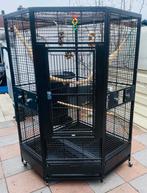 Super grote papegaaien kooi voor elke papegaai geschikt, Dieren en Toebehoren, Ophalen of Verzenden, Zo goed als nieuw, Metaal