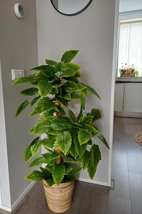 Prachtige kunstplant nieuw, Huis en Inrichting, Woonaccessoires | Kunstplanten en Kunstbloemen, Nieuw, Binnen, Buiten, Ophalen of Verzenden