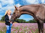Hengst en merrie, Dieren en Toebehoren, Pony's, Merrie, Gechipt