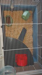 Nieuw! Hamsterkooi met accessoires en hamster!, Dieren en Toebehoren, Knaagdieren, Hamster, Mannelijk, Tam, Oktober