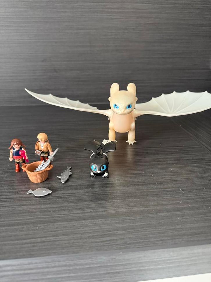 Playmobil Hoe Tem Je Een Draak Set, Kinderen en Baby's, Speelgoed | Playmobil, Zo goed als nieuw, Complete set, Ophalen