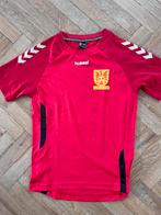 Voetbalshirt Csv apeldoorn 140 146 152, Sport en Fitness, Voetbal, Maat XS of kleiner, Ophalen of Verzenden, Zo goed als nieuw