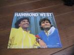 Albert hammond albert west lp, Cd's en Dvd's, Vinyl | Pop, Ophalen of Verzenden, Zo goed als nieuw, 1980 tot 2000, 12 inch