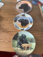 Genummerde Labrador wandborden, Antiek en Kunst, Ophalen of Verzenden