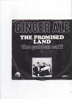 Single Ginger Ale - The promised land, Cd's en Dvd's, Nederlandstalig, Ophalen of Verzenden, Zo goed als nieuw