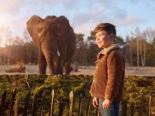 Safaripark Beekse Bergen tot wel €12 kortingsvoucher, Tickets en Kaartjes, Recreatie | Dierentuinen, Drie personen of meer, Kortingskaart