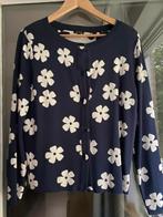 Caroline Biss vestje, Maat 38/40 (M), Blauw, Ophalen of Verzenden, Zo goed als nieuw