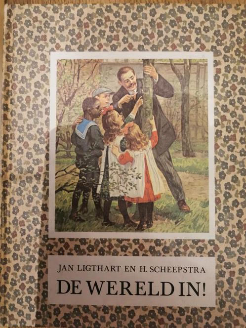 De Wereld in   kinderboek prentenboek, Boeken, Prentenboeken en Plaatjesalbums, Gelezen, Prentenboek, Ophalen of Verzenden