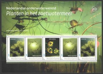 Nederlandse Onderwaterwereld: Planten in het zoetwatermeer beschikbaar voor biedingen
