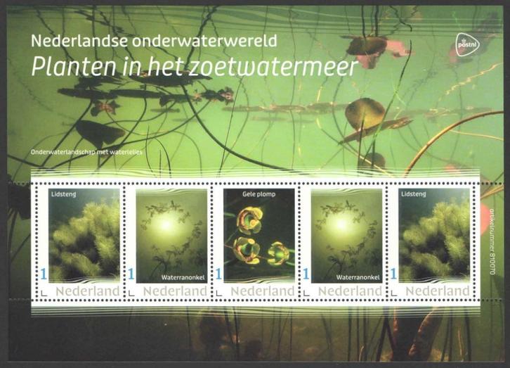 Nederlandse Onderwaterwereld: Planten in het zoetwatermeer, Postzegels en Munten, Postzegels | Nederland, Postfris, Na 1940, Ophalen of Verzenden