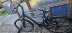 Pegasus Premio SL Disc Heren fiets niet gratis, Gebruikt, Versnellingen, 53 tot 57 cm, Ophalen