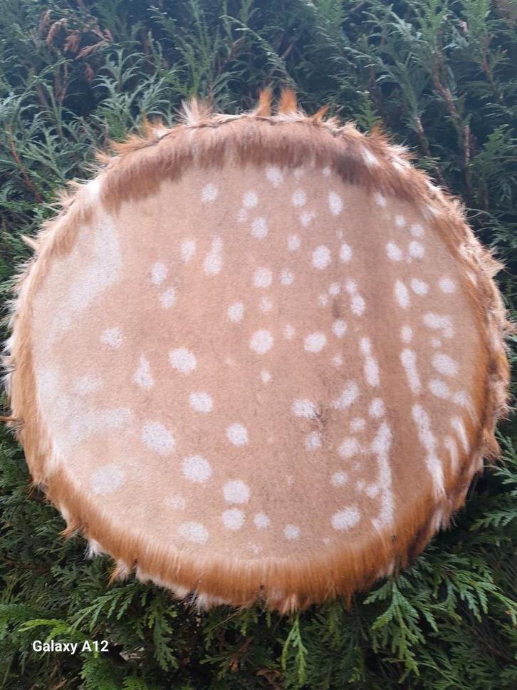 Mooie sjamanendrum van Damhert, Muziek en Instrumenten, Percussie, Nieuw, Trommel, Ophalen