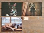 Set 11 3 KATTEN kaarten postcrossing nieuw, Ophalen of Verzenden, 1980 tot heden, Hond of Kat
